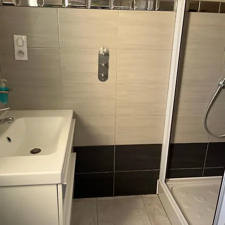 Les Hortensias Les Sables-dʼOlonne